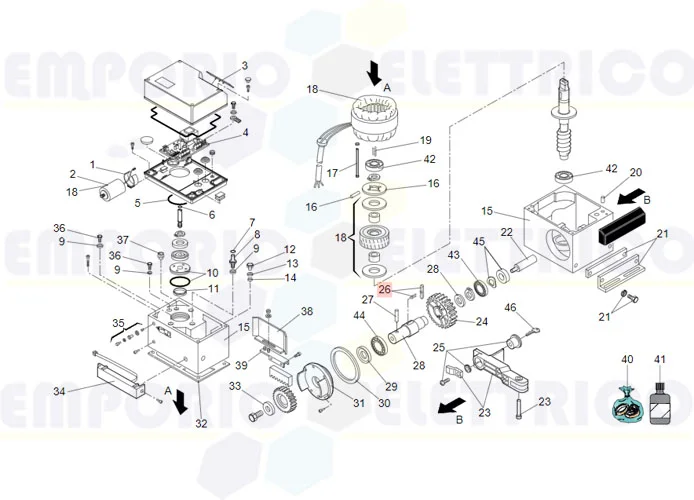 faac Ersatzteil keyway key and spring group 746/8 63003337